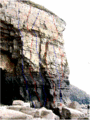 Cave wall.gif